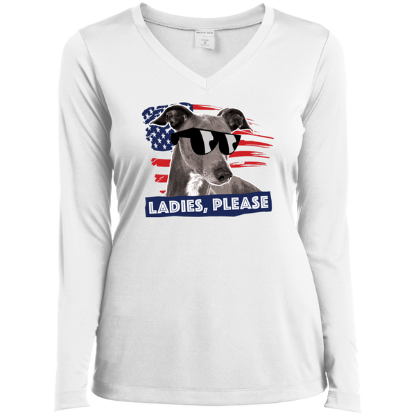 Ladies Long Sleeve Performance Vneck Tee