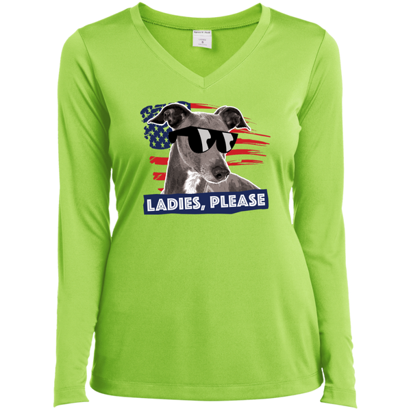 Ladies Long Sleeve Performance Vneck Tee